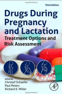 Image of E-BOOK FARMASI Drugs During Pregnancy and Lactation: Treatment Options and Risk Assessment